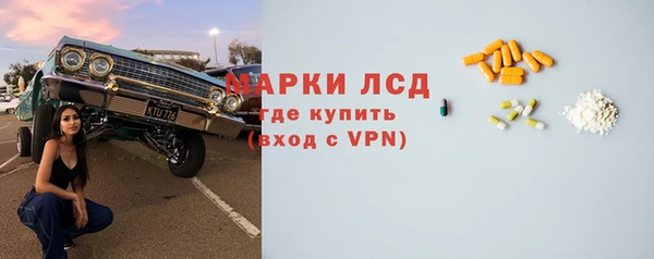 шишки Сосновый Бор