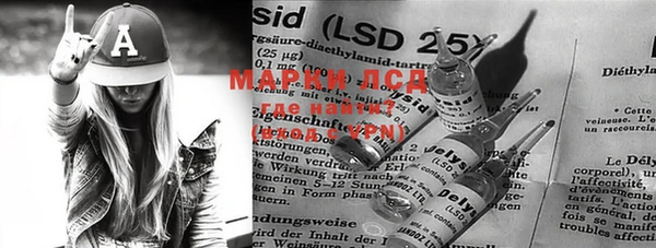 PSILOCYBIN Верея