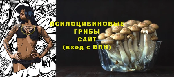 PSILOCYBIN Верея