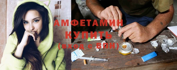 прущие грибы Вяземский