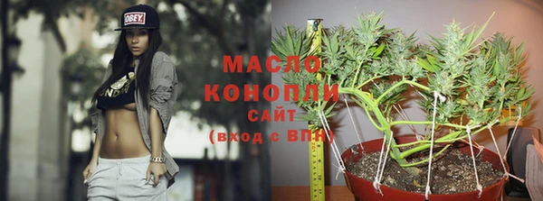 PSILOCYBIN Верея